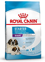 Сухой корм для щенков Royal Canin Giant Starter 4 кг