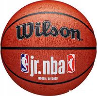 Баскетбольный мяч Wilson JR.NBA Fam Logo Indoor Outdoor WZ2009801XB7 (размер 7)