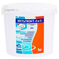 Средство для комплексной обработки воды Мультиэкт 5 в 1, ведро 5 кг (99019)