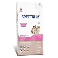 SPECTRUM Kitten 38 (курица), 2 кг