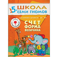 Счет, форма, величина (ШСГ 6-й год)