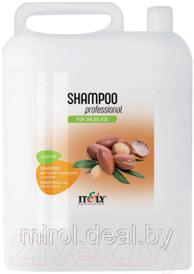 Шампунь для волос Itely Shampoo Professional Argan Oil+Помпа - фото 1 - id-p216924004