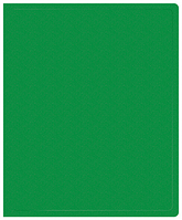 Папка на 2-х кольцах Buro -ECB0420/2RGREEN A4 пластик 0.5мм зеленый