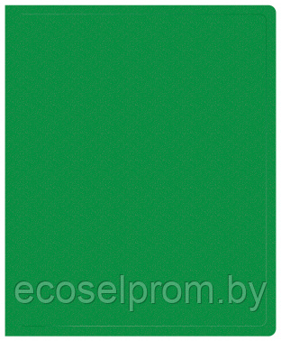 Папка на 2-х кольцах Buro -ECB0420/2RGREEN A4 пластик 0.5мм зеленый - фото 1 - id-p216925323