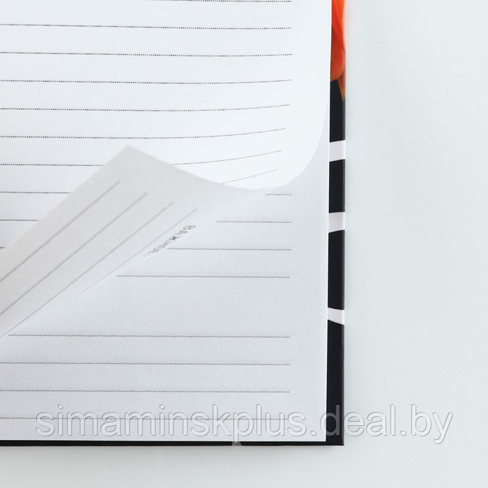 Подарочный набор «Учитель звучит гордо»: ежедневник А5, 80 листов, планинг, ручка, блок бумаг - фото 7 - id-p216927415