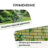 Сетка садовая, 1 × 20 м, ячейка 83 × 83 мм, пластиковая, зелёная, Greengo, фото 3