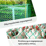 Сетка садовая, 1 × 20 м, ячейка 83 × 83 мм, пластиковая, зелёная, Greengo, фото 4