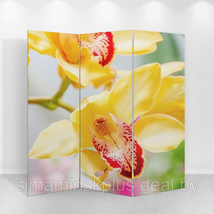 Ширма "Орхидеи", 150 х 160 см - фото 2 - id-p177056300