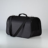 Сумка-переноска раскладная, каркасная «Бро не багаж» 52x22x29 см, фото 5