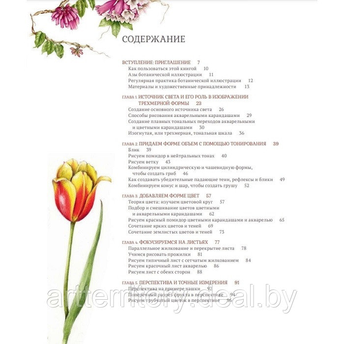 Ботаническая иллюстрация с удовольствием. Пошаговое руководство по изображению цветов, листьев, плодов и - фото 2 - id-p216926187