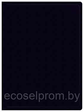 Папка с 10 прозр.вклад. Buro -ECB10BLACK A4 пластик 0.5мм черный - фото 1 - id-p216930882