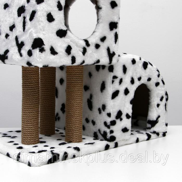 Домик для кошек с когтеточкой "Двухуровневый", 72 х 37 х 110 см, джут, далматинец - фото 9 - id-p199620932