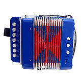 Музыкальная игрушка «Гармонь», цвет синий, фото 3