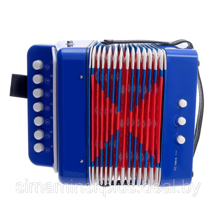 Музыкальная игрушка «Гармонь», цвет синий - фото 3 - id-p199008922