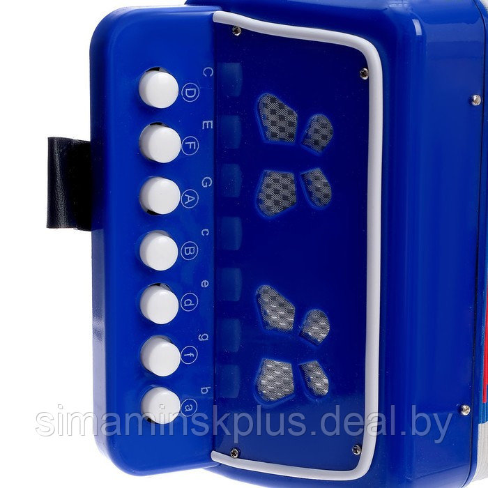 Музыкальная игрушка «Гармонь», цвет синий - фото 4 - id-p199008922