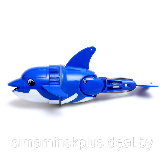Милый китёнок, плавает в воде, работает от батареек, цвет синий - фото 2 - id-p199919561
