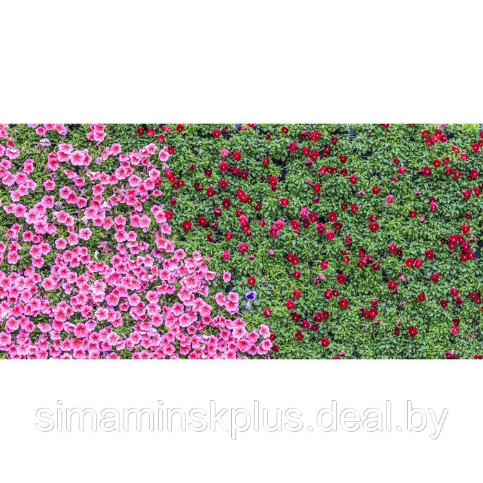 Фотосетка, 320 × 155 см, с фотопечатью, «Цветочный ковёр» - фото 1 - id-p213430391