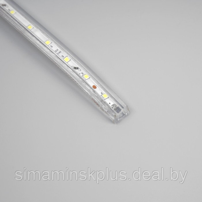 Светодиодная лента Ecola 12 × 7 мм, 10 м, IP68, SMD2835, 60 LED/м, 4.8 Вт/м, 220 В, 6000К - фото 4 - id-p203578022