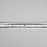 Светодиодная лента Ecola 12 × 7 мм, 10 м, IP68, SMD2835, 60 LED/м, 4.8 Вт/м, 220 В, 6000К, фото 5