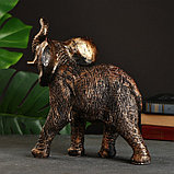 Фигура "Слон" бронза, 19х30х15см, фото 3