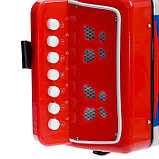Музыкальная игрушка «Гармонь», детская, цвет красный, фото 4