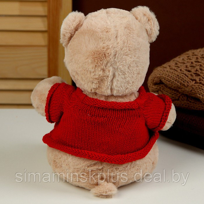 Мягкая игрушка «Мишка» в кофте, 25 см - фото 4 - id-p214520560