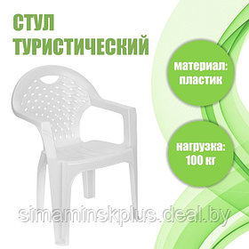 Кресло «Эконом», р. 58,5 см х 54 см х 80 см, цвет МИКС