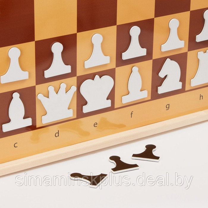 Демонстрационные шахматы и шашки магнитные, поле 70 х 70 см - фото 4 - id-p206760857