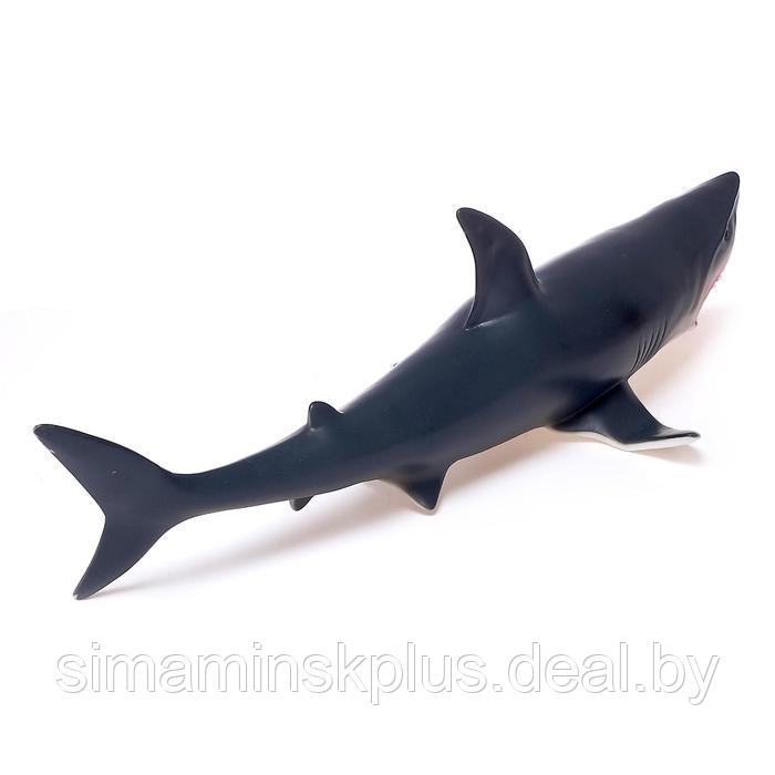 Фигурка животного «Серая акула», длина 41 см - фото 2 - id-p199919644