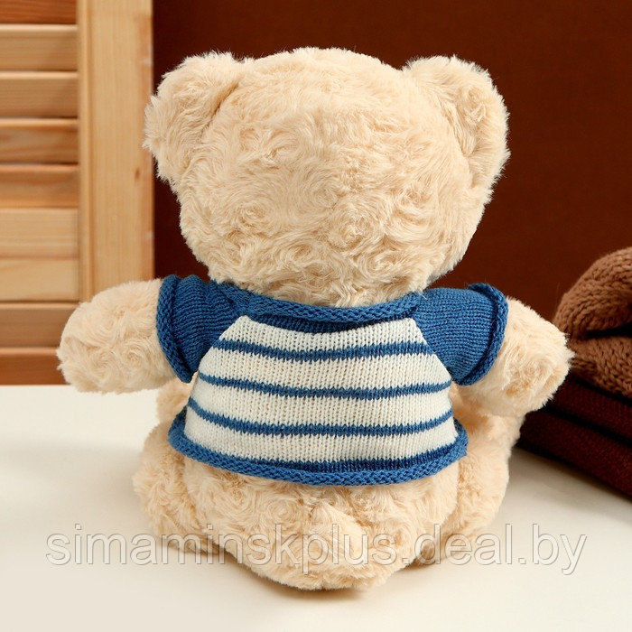 Мягкая игрушка «Медведь» в полосатой кофте, 25 см, цвет МИКС - фото 4 - id-p215143587