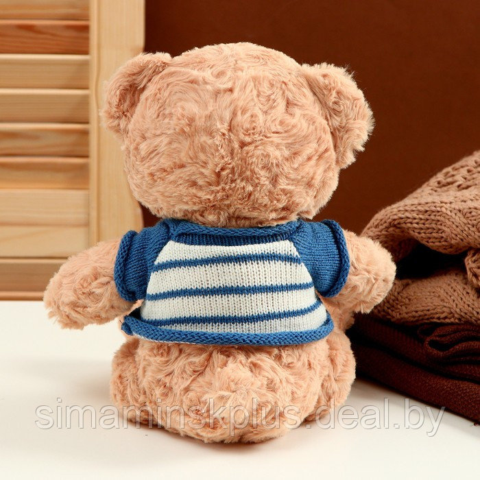 Мягкая игрушка «Медведь» в полосатой кофте, 25 см, цвет МИКС - фото 4 - id-p215143586
