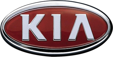 Арки, пороги, ремкомплекты кузова для автомобиля для KIA