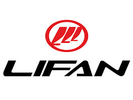 Коврики в салон для LIFAN