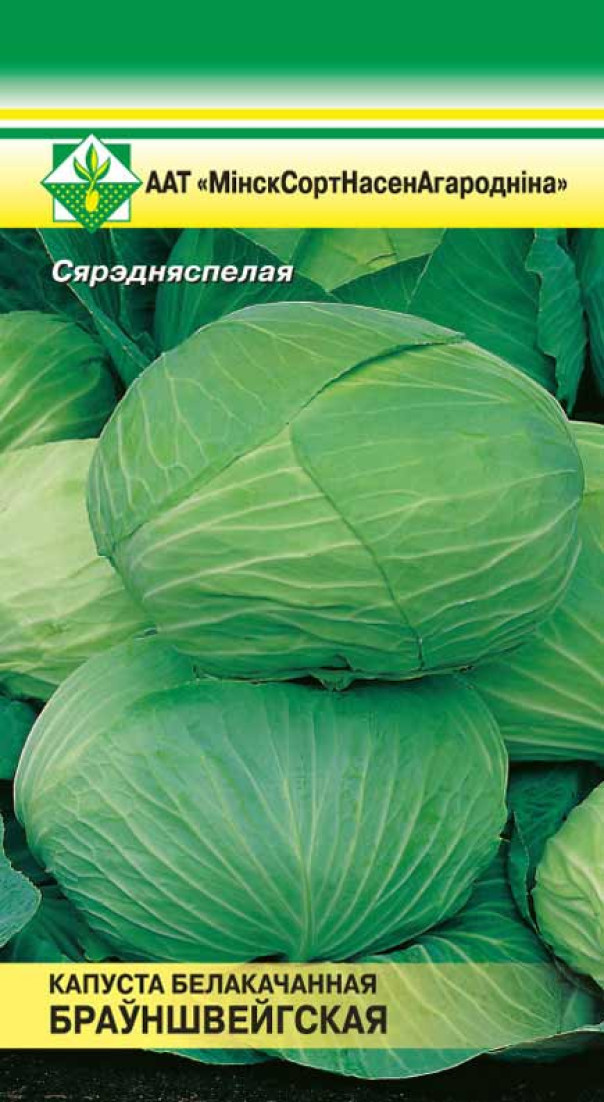 Купить Семена Капусты Голландской Селекции