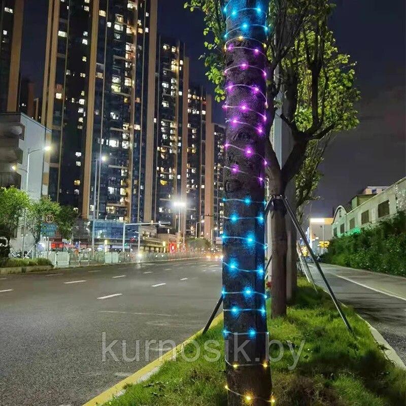Светодиодная лента USB Fairy String Light 5 В, 10 метров, с пультом, многоцветная - фото 6 - id-p217102450