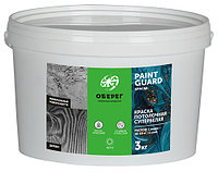 PaintGuard Потолочная краска ЭКОНОМ 3 кг