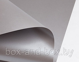 Бумага формат А4 LUXUS Real Silver(серебро)