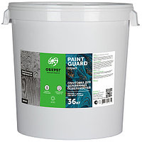 PaintGuard Грунтовка для деревянных поверхностей 36 кг