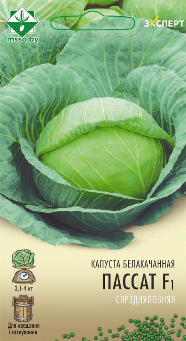 Капуста б/к Пассат F1 12шт Эксперт МССО