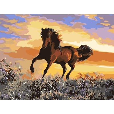 Картина по номерам на холсте «Грациозный бег коня», 40х30 см - фото 1 - id-p216686067