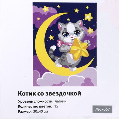 Картина по номерам на холсте с подрамником «Котик со звёздочкой» 30х40 см - фото 5 - id-p216686069