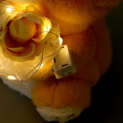 Мягкая игрушка «Медведь с букетом», 25 см, с гирляндой - фото 6 - id-p216667349