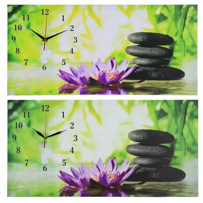 Часы-картина настенные, на холсте, серия: Цветы, "Цветы и камни", 40х76 см - фото 2 - id-p216679447