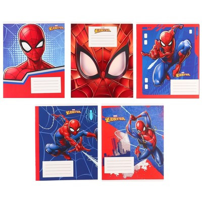 Подарочный набор для мальчика, 10 предметов, Человек-паук - фото 6 - id-p216745387