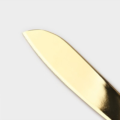 Набор для торта Elegance, 2 предмета: нож h=28см, лопатка h=26 см, цвет золотой - фото 3 - id-p216713694