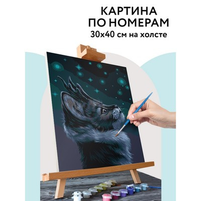 Картина по номерам на холсте 30 × 40 см «Мистический кот», с акриловыми красками и кистями - фото 1 - id-p216710408