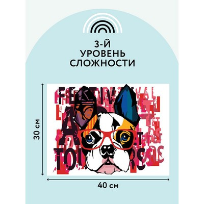 Картина по номерам на холсте 30 × 40 см «Французский бульдог», с акриловыми красками и кистями - фото 4 - id-p216710409