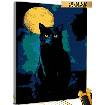 Картина по номерам «Кот при луне» холст на подрамнике, 40 × 50 см - фото 1 - id-p216710502