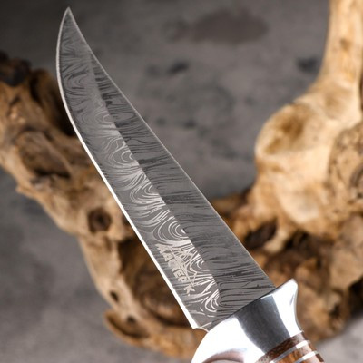 Нож охотничий "Сибиряк" 27 см, - фото 6 - id-p216709481