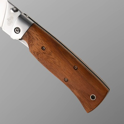 Нож складной "Клён" сталь 65х13, рукоять - гикори, 23 см - фото 3 - id-p216709604